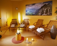2011 11 wellness 1